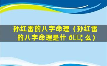 孙红雷的八字命理（孙红雷的八字命理是什 🐦 么）